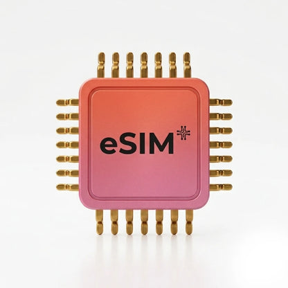 1000GB eSIM Data - Renews automatically every month