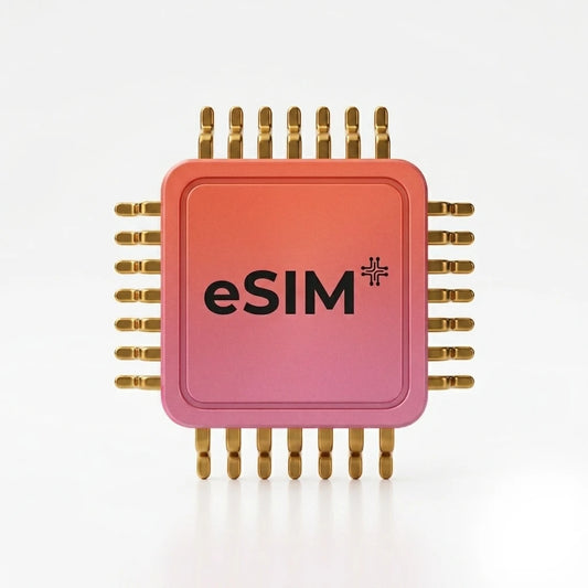 1000GB eSIM Data - Renews automatically every month